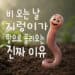 비 오는 날 젖은 흙 위로 올라온 지렁이 3D 캐릭터 모습과 '비 오는 날 지렁이가 땅으로 올라오는 진짜 이유'라는 제목 글귀.